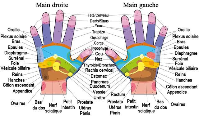 reflexe des mains